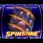 Spinsane